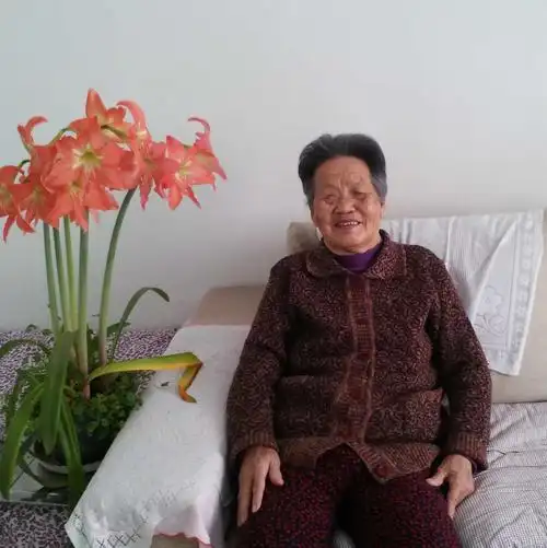 这张照片是2015年正月给母亲拍的,母亲的笑容像这盆盛开的水仙花一