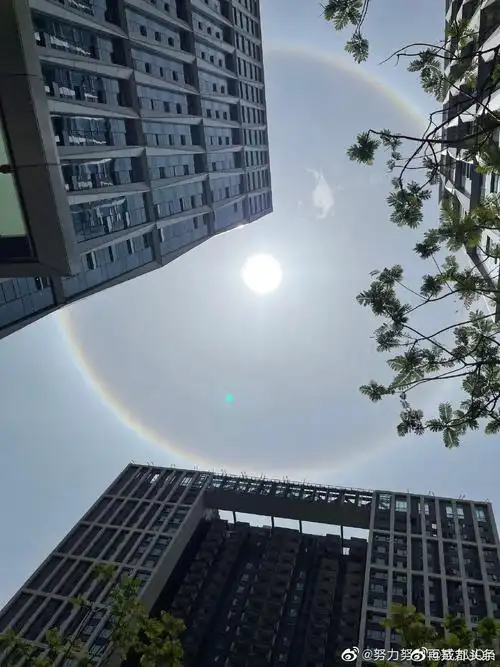 成都上空出现绝美日晕好像太阳在吹泡泡你看没看到