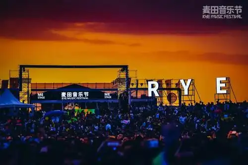 麦田音乐节的神秘黑衣人