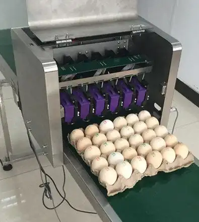 鸡蛋喷码机多少钱