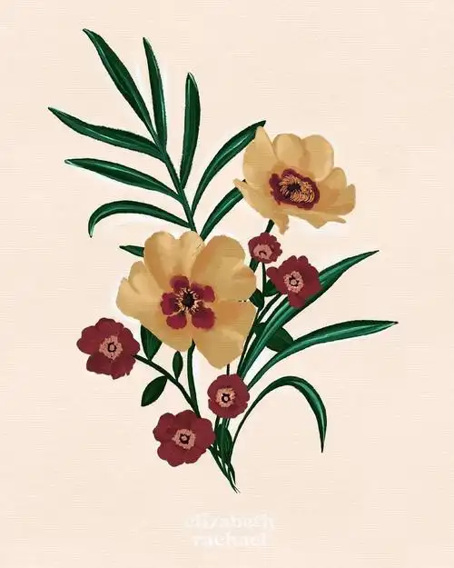 手绘ins风插画!—— liz print