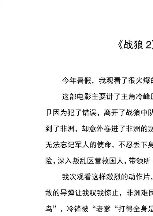 《战狼2》观后感_12_第1页