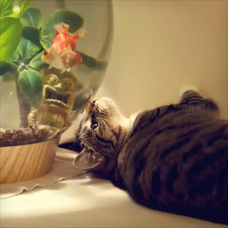 一念行者#  问:我大学毕业三年了,今年四月开始都