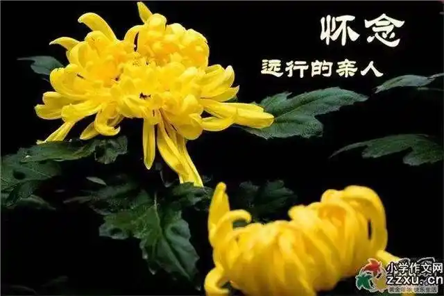 老同学一路走好