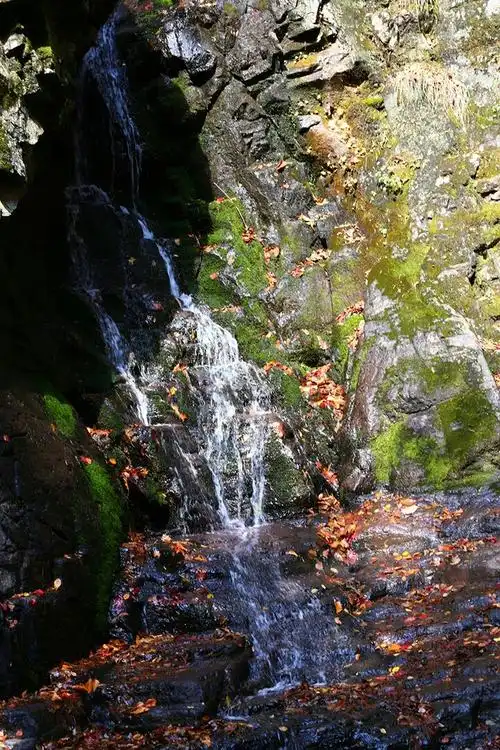 青山沟之虎塘沟