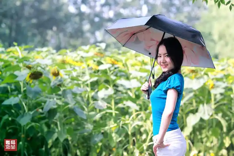 奥森,美女,向日葵