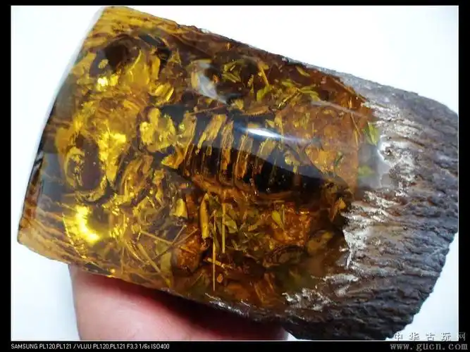 超大罕见蝎子王松脂琥珀摆件!漂亮家居摆件!