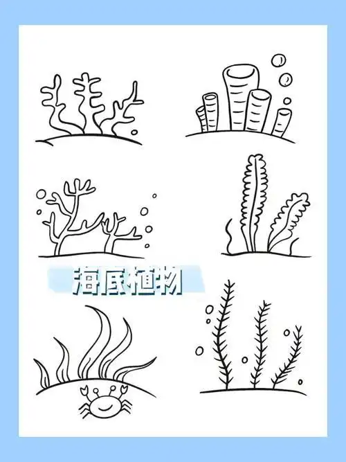 简笔画|海底植物 7100简笔画海草文化绘画