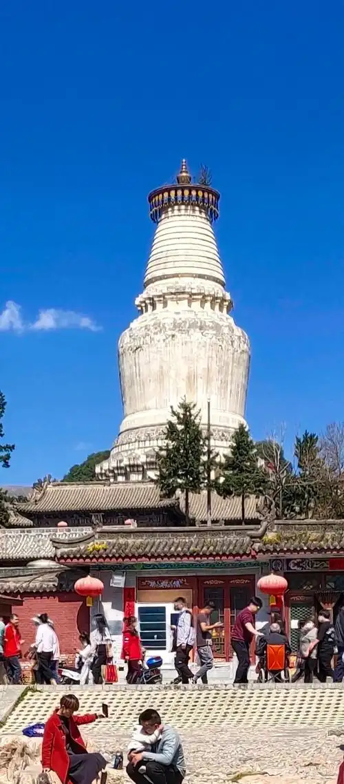 五台山大白塔上的杂草何时清理?管委会回复了…_手机搜狐网