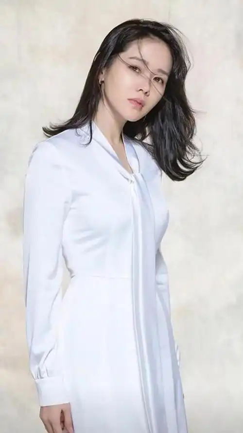 韩国最漂亮的女明星(韩国十大美女明星)(19)