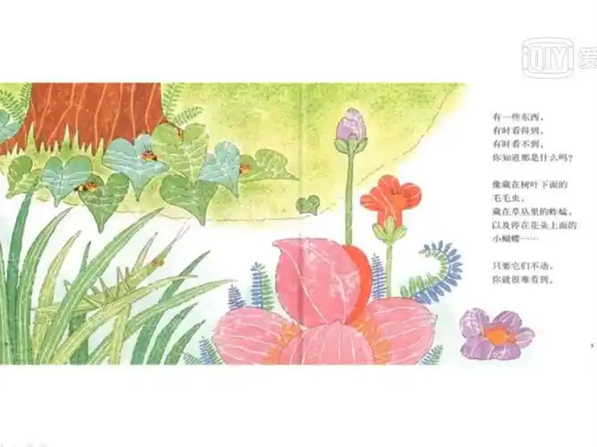 新星国际幼儿园"停学不停课"大班绘本《花园里有什么》