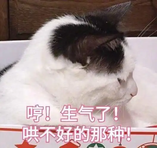 萌宠gif猫星人gif哼gif生气了gif哄不好的那种gif呆萌gif可爱gif