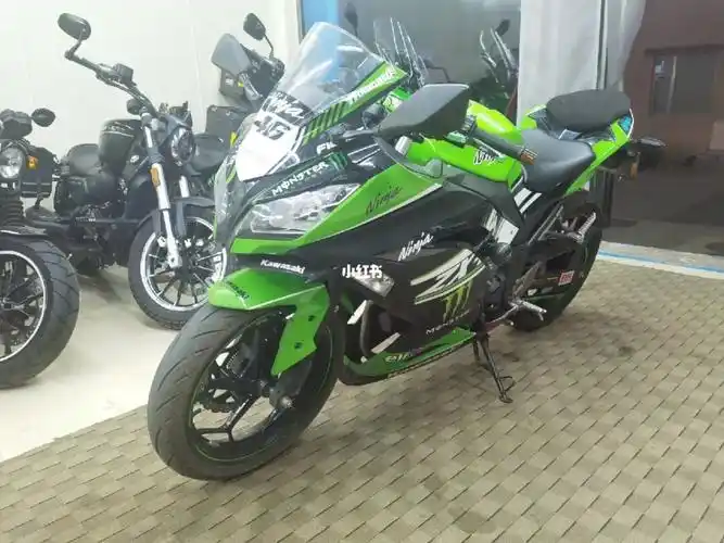 川崎ninja250小忍者