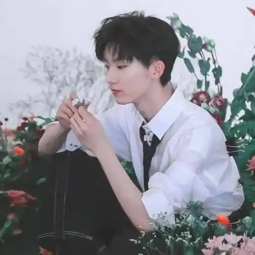 微信头像马嘉祺