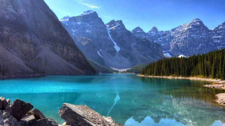 电脑动态壁纸_《wallpaper engine》一周电脑动态壁纸精选-第十二期