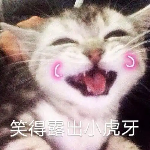 猫咪表情包合集笑得露出小虎牙