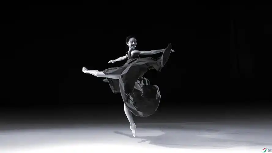 [人物] 芭蕾舞------祝贺荣获首页黑白影像精华!