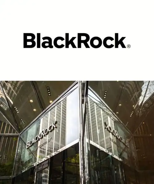 英国求职英本大一大二实习机会blackrock