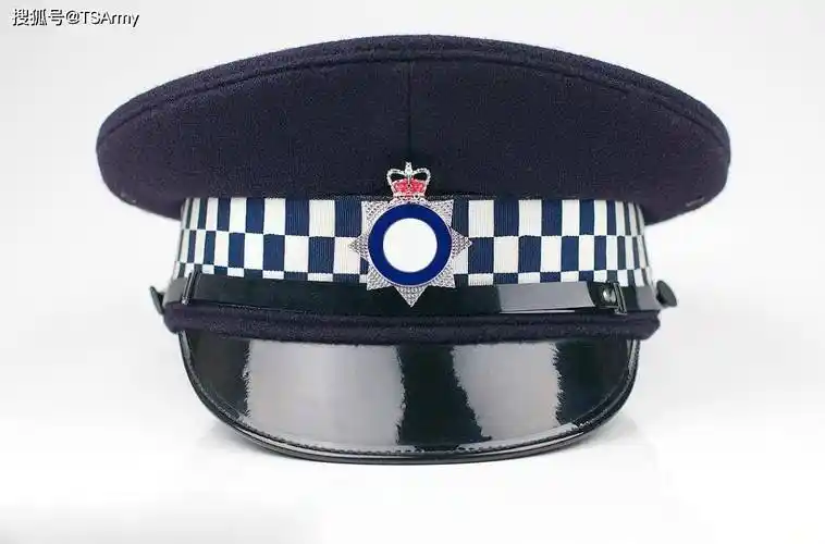 德国得其他警种,也有相同款式的黑色,藏青色或者深蓝色的警用大檐帽