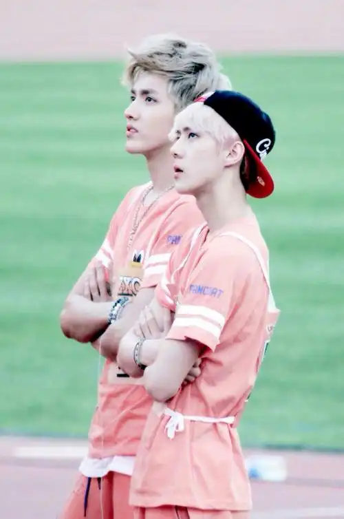 吴世勋与吴亦凡的颜值对比如何?