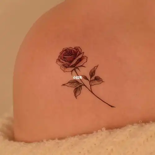 玫瑰08纹身tattoo小清新纹身