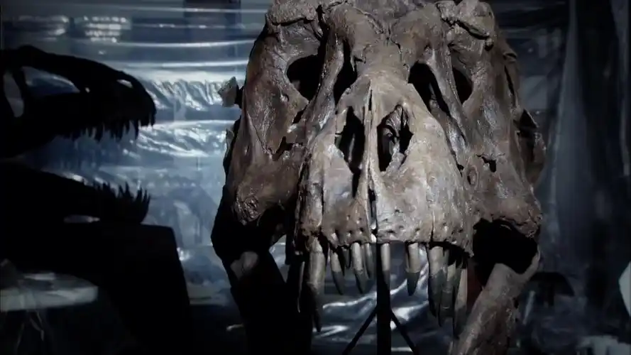 5种可以杀死霸王龙的恐龙