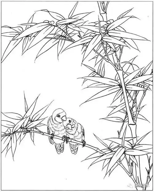 春天来了,请收下这一组漂亮的白描花鸟画稿!