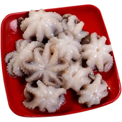 八爪鱼鲜活冷冻短腿小章鱼迷你去内脏处理商用冷冻章鱼