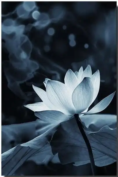 心静了,福气就来了:一组禅意唯美图片分享