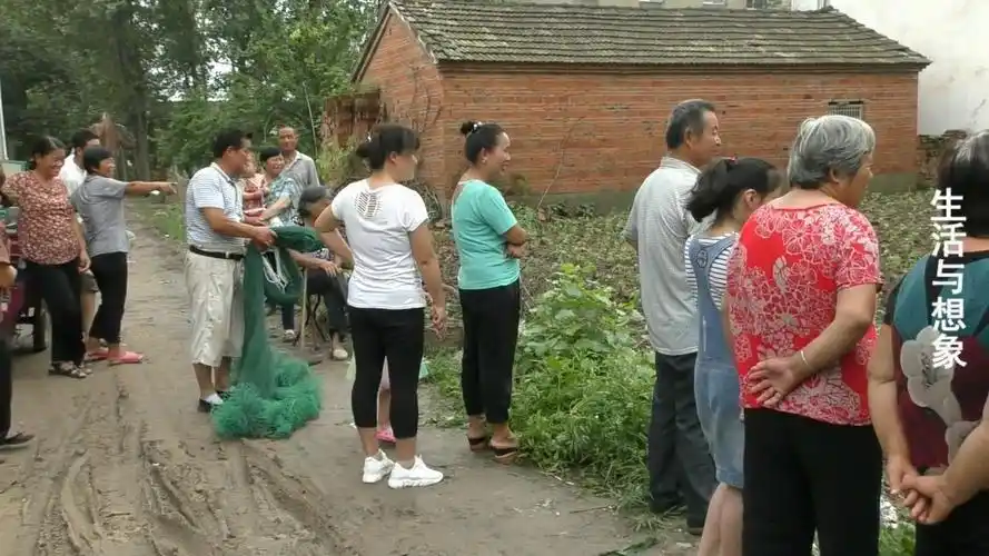 农村逮鱼真热闹几十人在河边围观等分鱼
