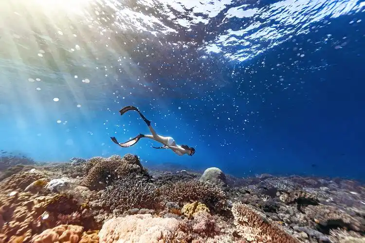 p>水下摄影,影视特技摄影(像)方法之一,即在水中摄影(像).