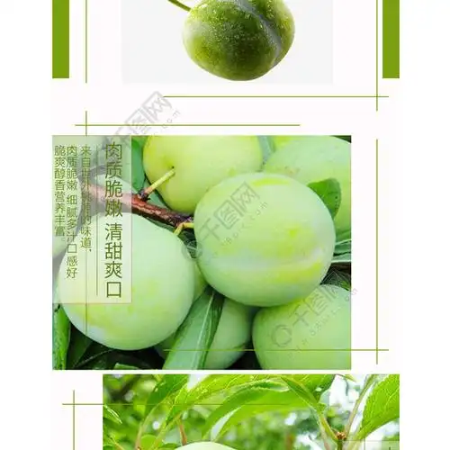 李子水果详情页