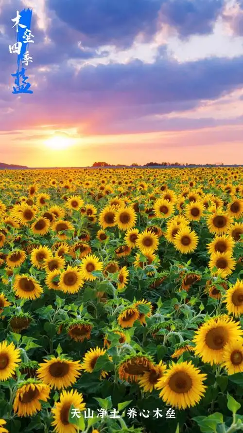 来看木垒最养眼屏保出炉每一张都是精选