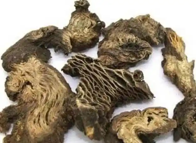 心脏病,高血压患者应避免使用升麻.