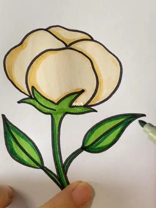 寒露露气寒冷秋意渐浓棉花简笔画