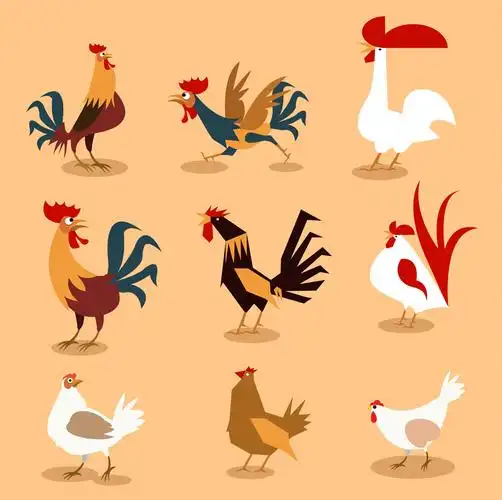 9款创意鸡设计矢量素材