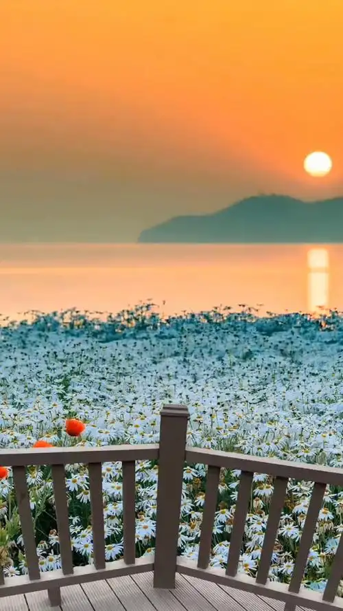 最治愈人心的,便是这世间美景!