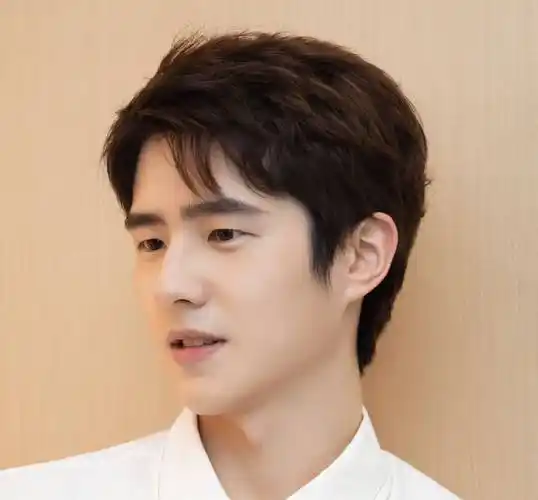 刘昊然文代会照片刷屏,粉丝调侃:在编相亲对象的天花板