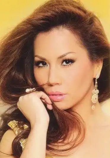 越南女歌手minh tuyet(阮明雪)也被这段旋律感染,她用越南文唱的