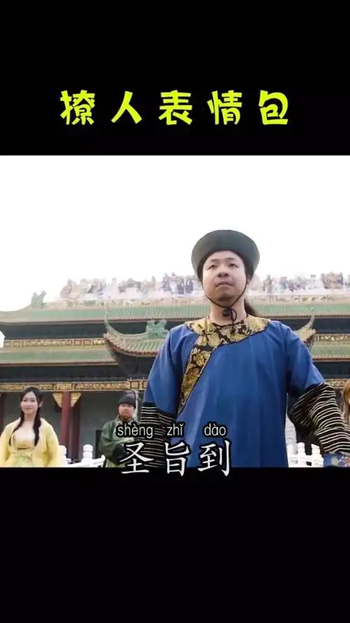 爱妃接旨,表情包91