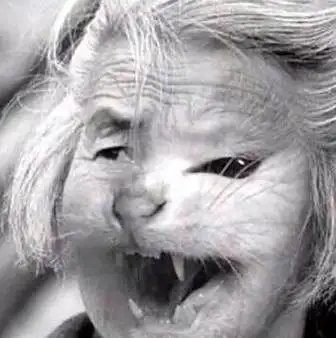 猫脸老太太是算命的 猫脸老太太电视剧-万年历网