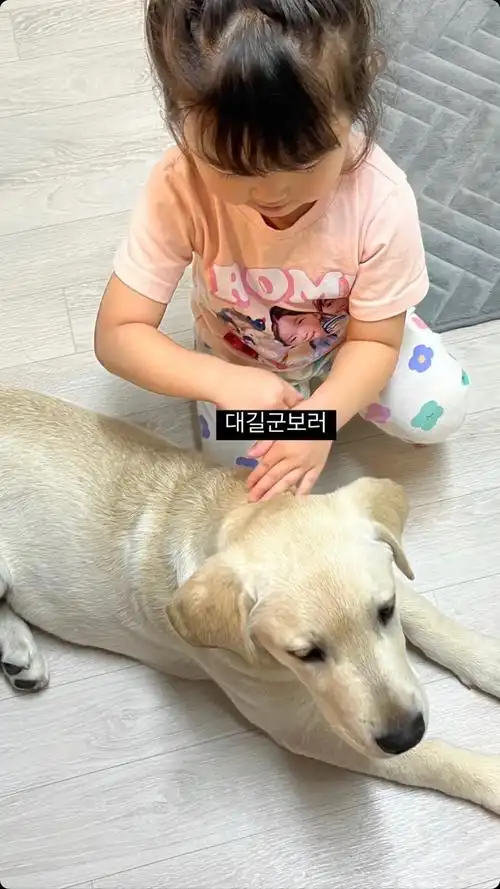 罗熙 #罗熙表情包 # - 抖音