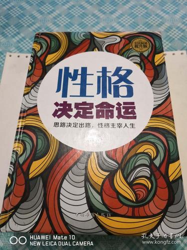 性格决定命运思路决定出路精装