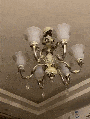 310_406竖版 竖屏gif 动态图 动图