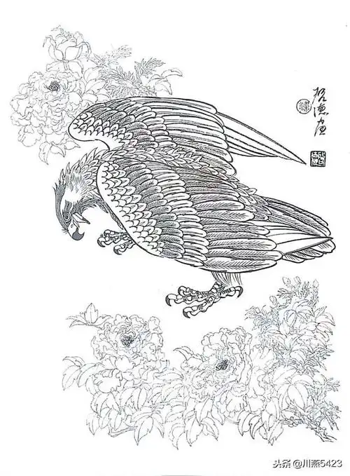 中国龙凤凰鹰画法