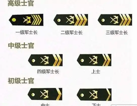 现行军衔以上军衔种种,我们的区分依据主要是肩章.