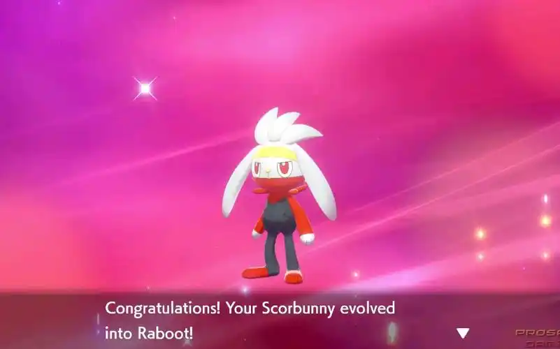 精灵宝可梦剑盾宝可梦剑盾游戏御三家进化后过程