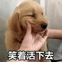 笑着活下去(狗子)_狗子_活下去表情