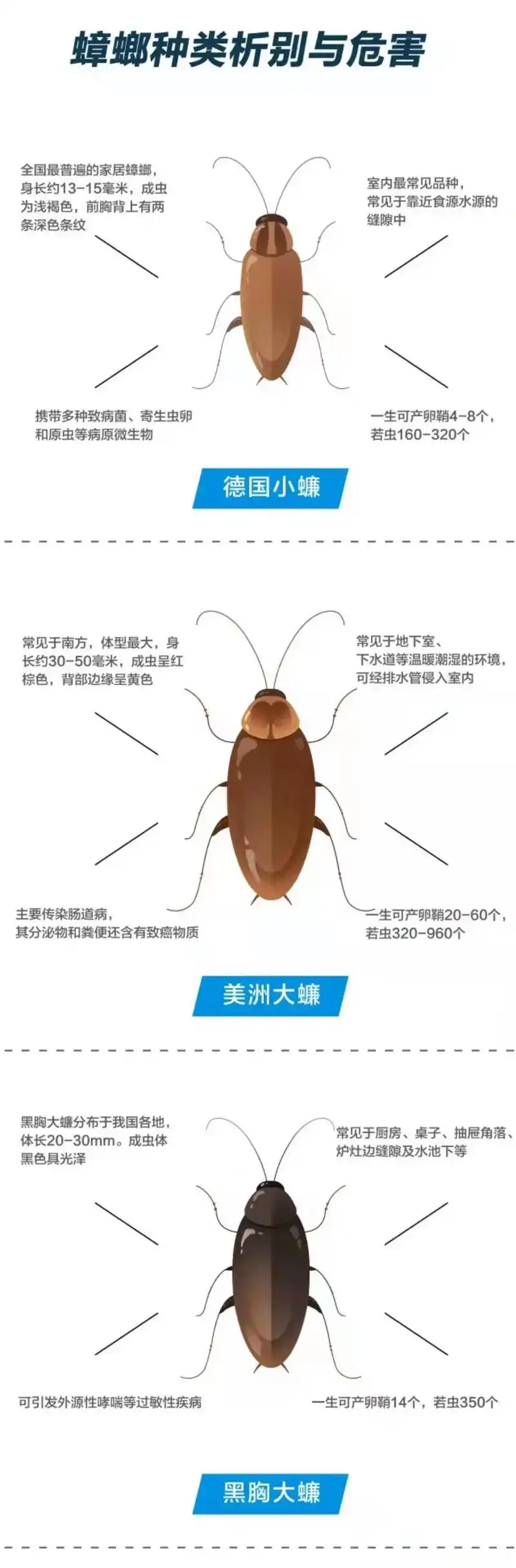 除虫灭鼠 #蟑螂 - 抖音