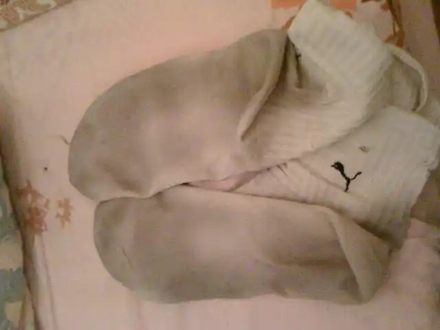 一双臭袜子酿成的"惨案"